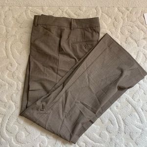 Express Editor Pants